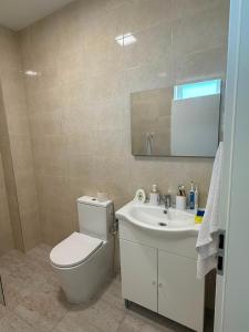 Apartament 3 camere parcare și curte privata parter