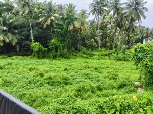 Peacefull Goan Gateaway Perfect Stay