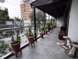 Spacious 3BR Apartment with Large Balcony