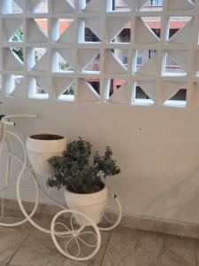 The Olive Place