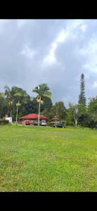 Hacienda bella cristal