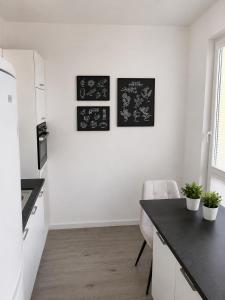 Apartmán 13