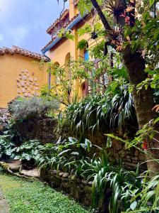 iECHIE Historic Colonial Stay in La Candelaria