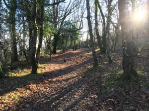 Haytor Road, Bovey Tracey, Newton Abbot, Devon, TQ13 9LN, England.