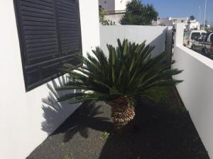 Casa Rubicon, San Bartolome - Lanzarote