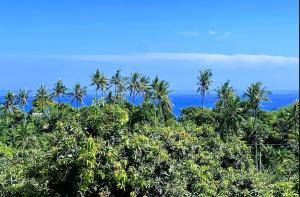Tenang Saja Villa Suatu Hari