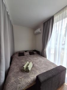 Studio tipo butas Šventojoje