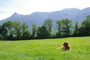 Villages vacances VVF Les Ecrins Champsaur : photos des chambres