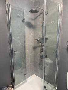 Studio near woodland park