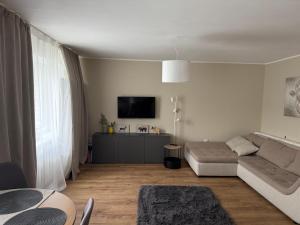 Studio near woodland park
