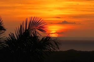 Sunset Sanctuary Nosara