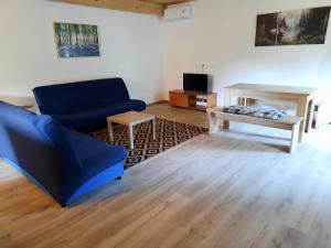 Apartma Draga