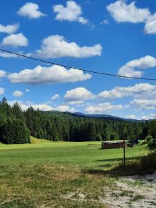 Apartma Draga