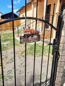 Apartma Draga