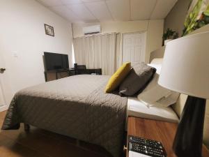 cozy studio, AC, wifi, escalon area, masferrer