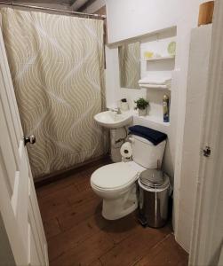 cozy studio, AC, wifi, escalon area, masferrer
