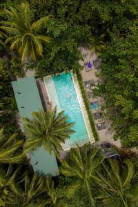 Bohemia Beach Tayrona