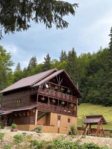 Cabana Sânziana