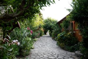 Szentesi Panzió és Kerékpárkölcsönző