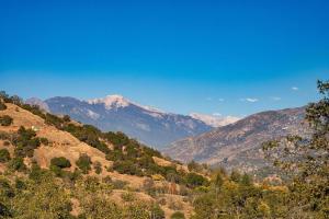 Sequoia Magic Views • Cozy Fire + Modern Design