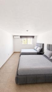 Bowra Milan