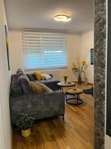 Apartment Paso