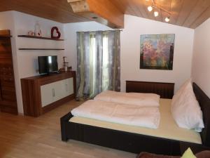 Apartment with Terrace room in Ferienwohnungen Schneider