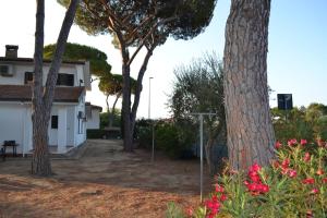 Villa Sunset
