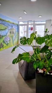 Apartman Sunce