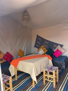 Camel camp