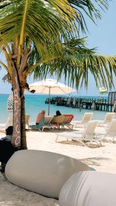 Beach Garden Club Vacation Hotel Punta Cana