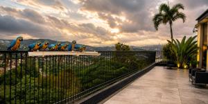 Quadratto Suites