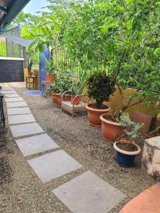 Casa Guacamayo