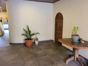 Casa Guacamayo