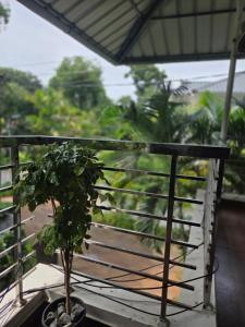 Beach Stay White Shore Alleppey