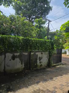 Beach Stay White Shore Alleppey