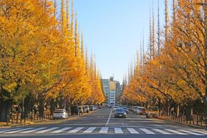 Tomihisa House 8-minute walk from the nearest station Only 5 minutes by train to Shinjuku