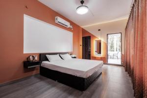 Nitz the loft