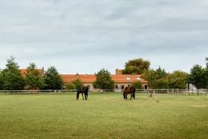 Het Zwaluwnest - Gistel
