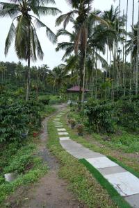 Wayanad Palm Grove Retreat G Floor
