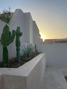 Dar Nanou Maison de famille