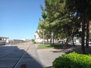 Levante 6