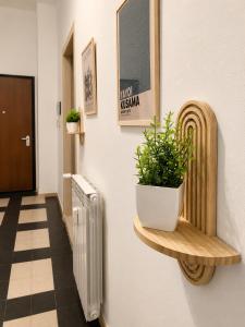 BIG Smart Goldoni - Duomo M4 Linate