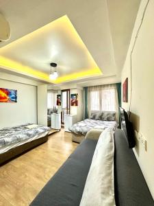 Green Suite