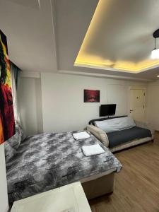 Green Suite