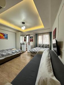 Green Suite