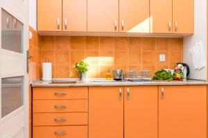 Cracow Best Location Apartment with Garden