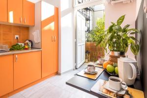 Cracow Best Location Apartment with Garden