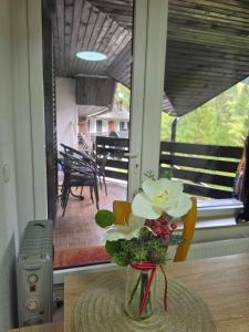 Vista Alpina Apartment Kriška Planina