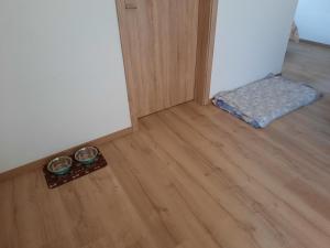 Apartma Draga